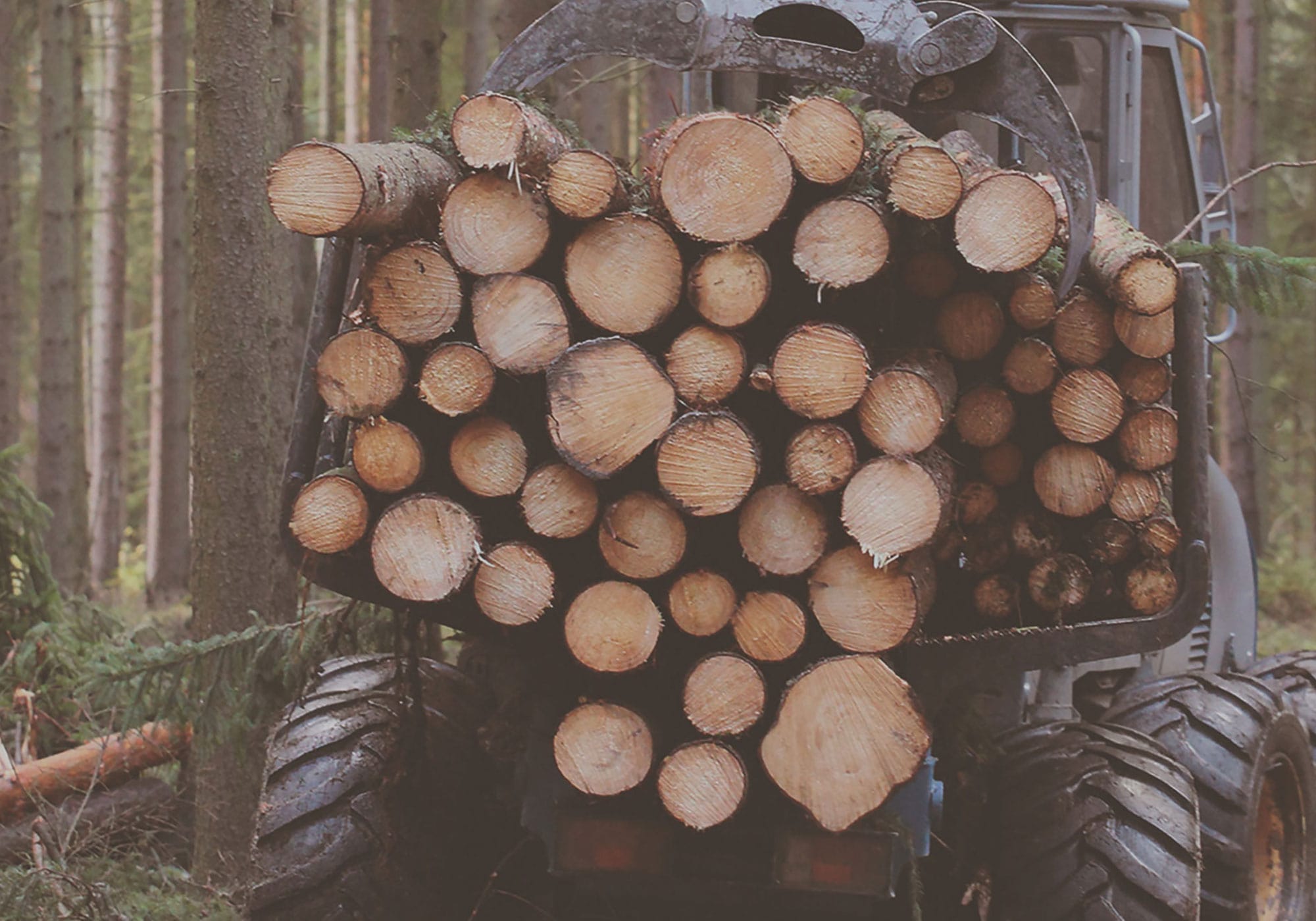 Logging