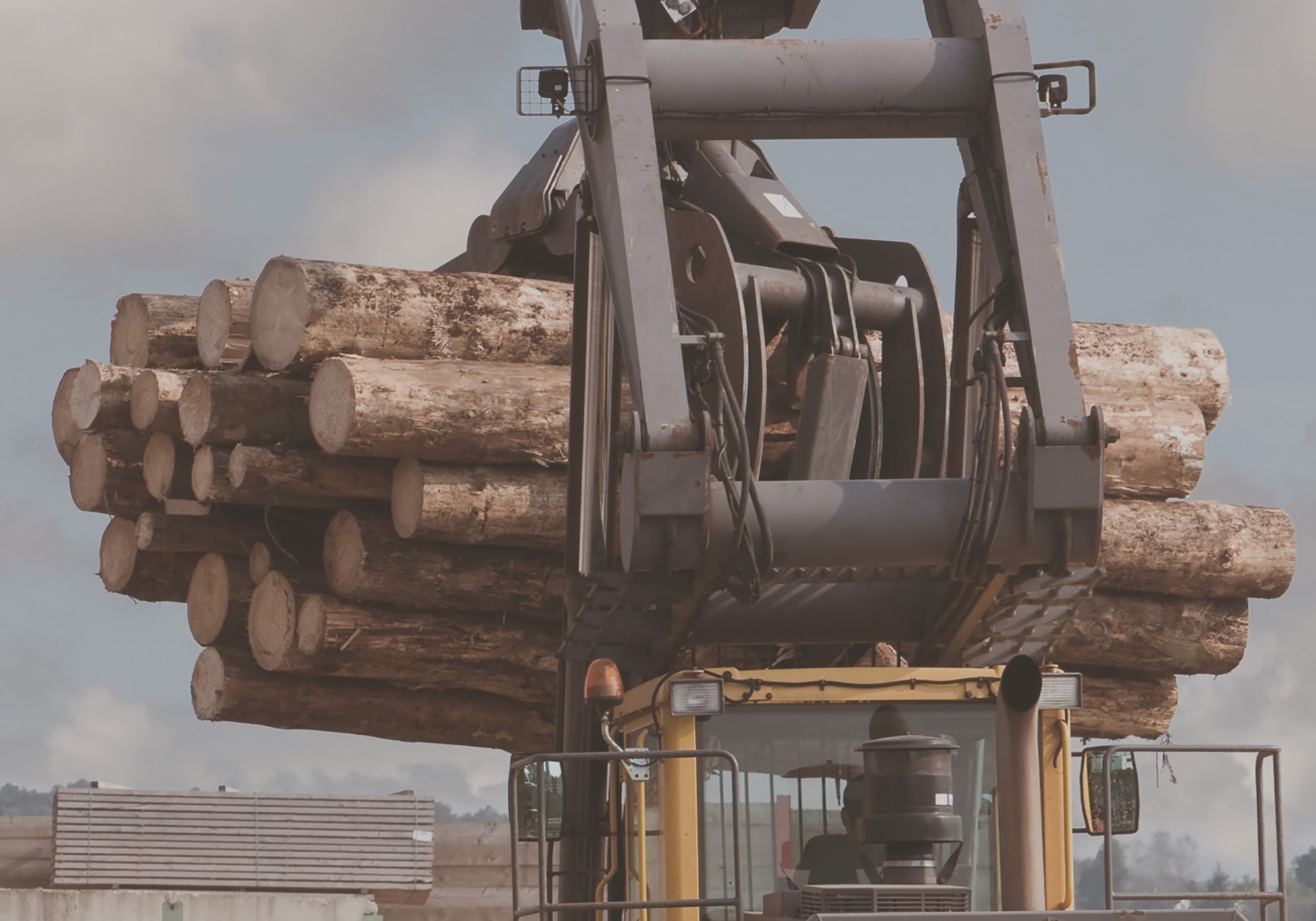 Logging